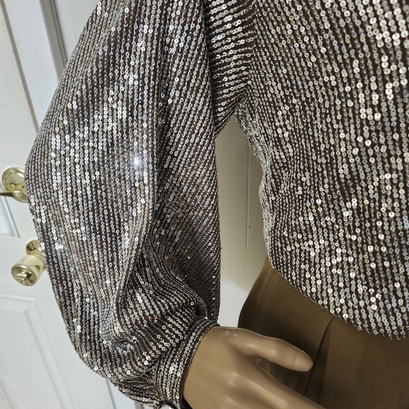 She and Sky Silver Sequin Blouse - Picture 2 of 4